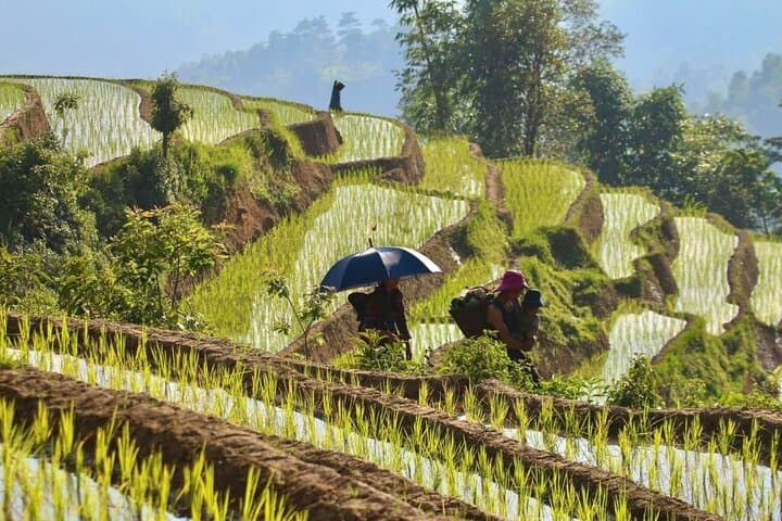Ha Giang Karst Plateau 4-Day Tour from Hanoi — Ma Pi Leng & Nho Que River
