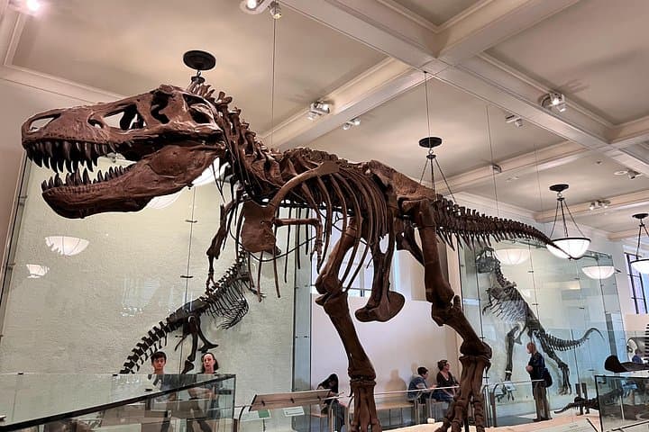 MoMA & American Museum of Natural History Combo Tickets — Skip the Line in NYC photo 2