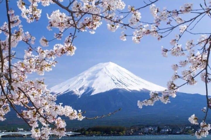 Private Day Trip to Mount Fuji & Lake Kawaguchi from Tokyo