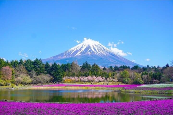 Private Day Trip to Mount Fuji & Lake Kawaguchi from Tokyo photo 2