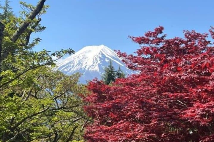 Private Day Trip to Mount Fuji & Lake Kawaguchi from Tokyo photo 3