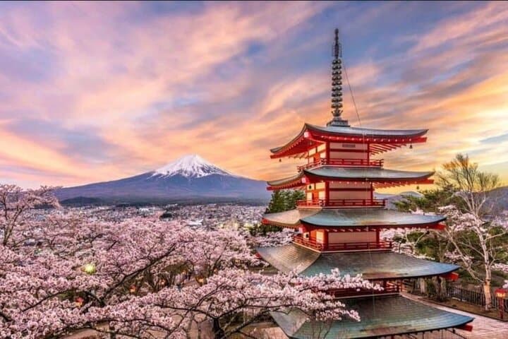 Private Day Trip to Mount Fuji & Lake Kawaguchi from Tokyo photo 5