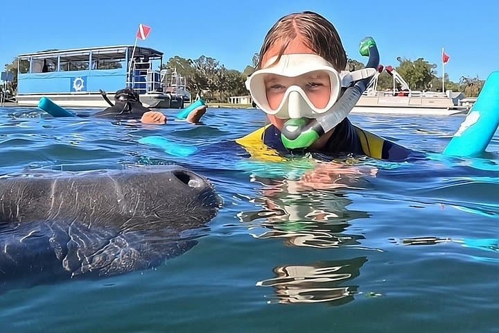 Private Manatee Swim in Crystal River: 6-Person Tour with Free Photos photo 1