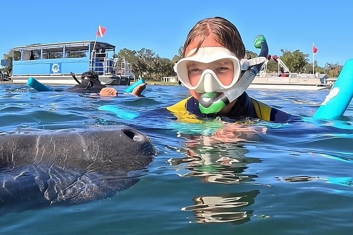Swim with Crystal River Manatees: Heated Small-Group Snorkel Tour with Free Photos photo 4