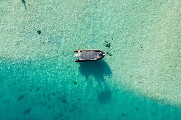 Moorea Freediving & Snorkel Half-Day: Boat Tour with Rays, Turtles & Sharks photo 5