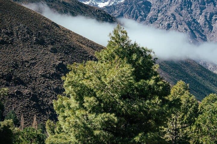 Atlas Mountains Day Trek to Talamrout Summit from Imlil photo 4