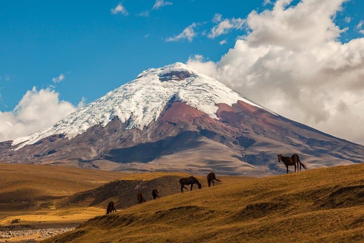 7-Day Ecuador Private Tour: Andes to Amazon Adventure