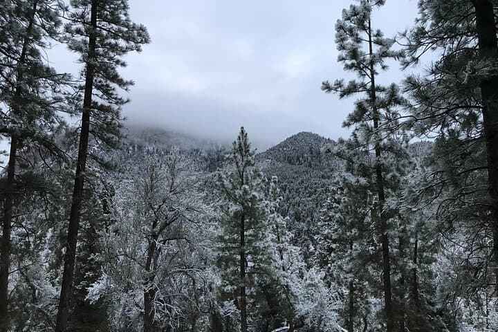Ultimate Snowplay Adventure at Mount Charleston — Day Trip from Las Vegas photo 2