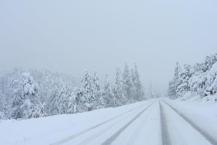 Ultimate Snowplay Adventure at Mount Charleston — Day Trip from Las Vegas photo 6