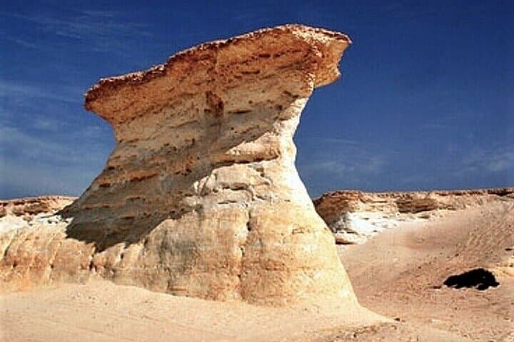 Desert Steel & Mushroom Rocks: West Coast Tour to Richard Serra and Zekreet photo 4
