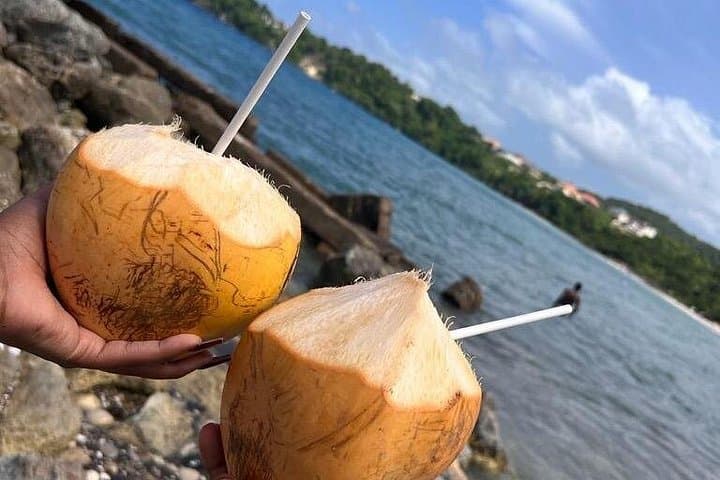 Ocho Rios Sightseeing and Shopping: Markets, Beaches & Local Flavor photo 2
