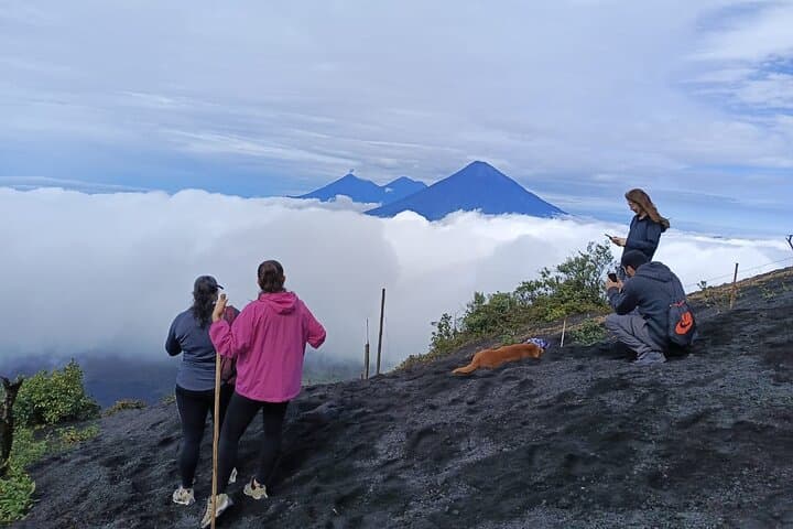 Pacaya Volcano Hike from Antigua — Half-Day Guided Trek to Guatemala’s Active Volcano photo 5