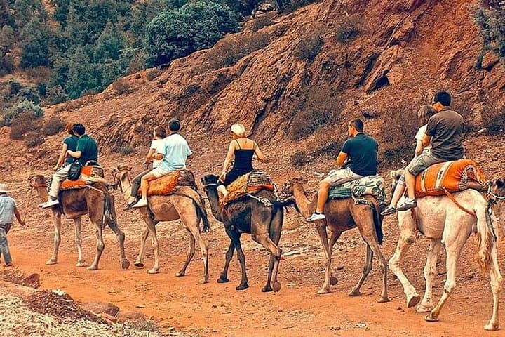 Agafay Desert & Atlas Mountains Day Tour from Marrakech: Camel Ride, Berber Lunch & Lake Views photo 1