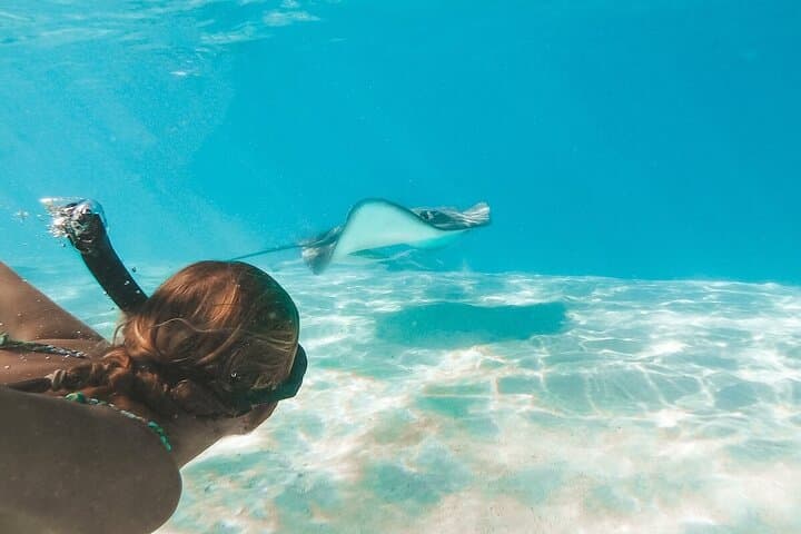 Stingray City Sandbar Adventure: Grand Cayman Snorkel with Southern Rays photo 4