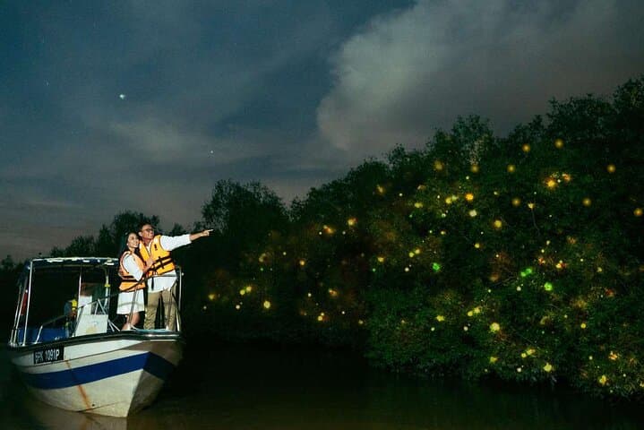 Kuala Selangor Fireflies Boat Tour: Evening Eagle Watching & Seafood Dinner