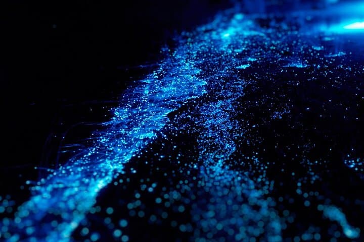 Cat Ba Sunset and Bioluminescent Kayaking in Lan Ha Bay photo 3