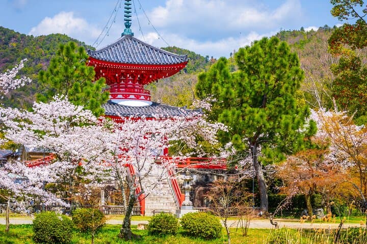 Self-Guided Kyoto Temples Tour: Hidden Zen Sites, Fushimi Inari & Gion Walk