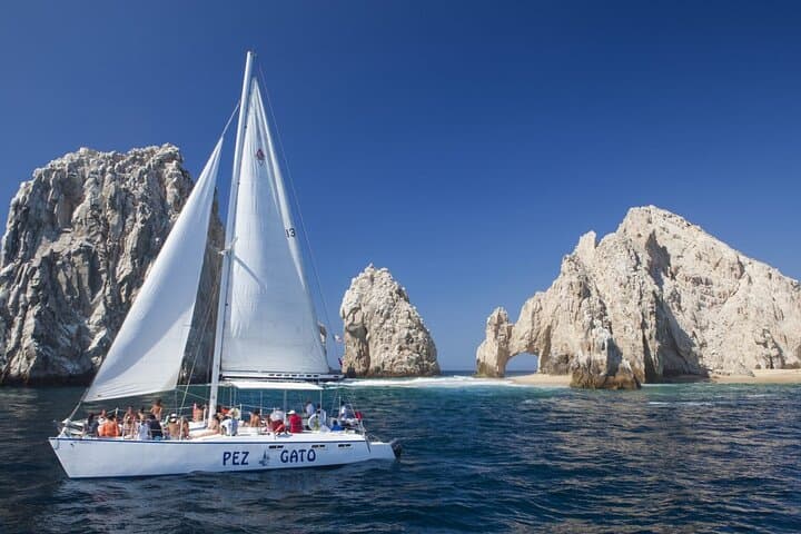 Cabo Whale Watching Cruise: Best Los Cabos Whale Watching (Dec–Mar) photo 4