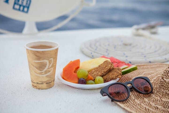 Cabo Whale Watching Cruise: Best Los Cabos Whale Watching (Dec–Mar) photo 6