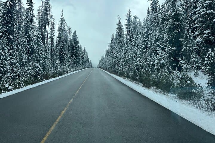 One-Day Banff and Yoho National Park Tour: Lake Louise, Moraine Lake, Johnston Canyon & Emerald Lake photo 4