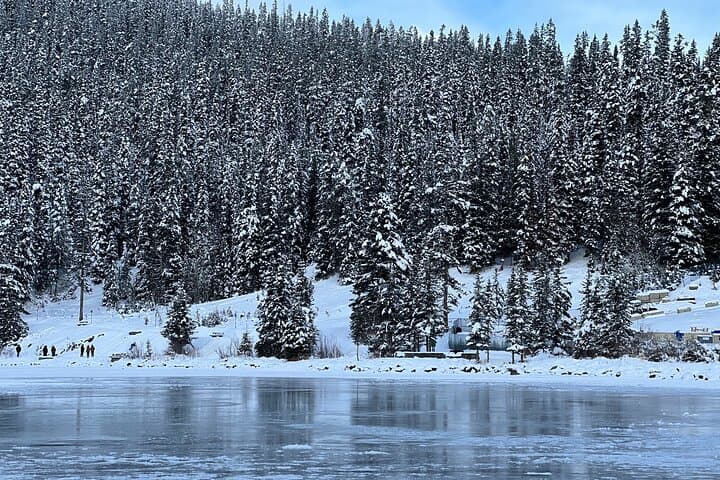 Banff Day Tour: Lake Louise, Moraine Lake, Peyto Lake & Crowfoot Glacier photo 2