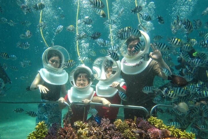 St Maarten SeaTrek & Snorkeling Adventure — Walk the Seabed and Explore Coral Reefs photo 1