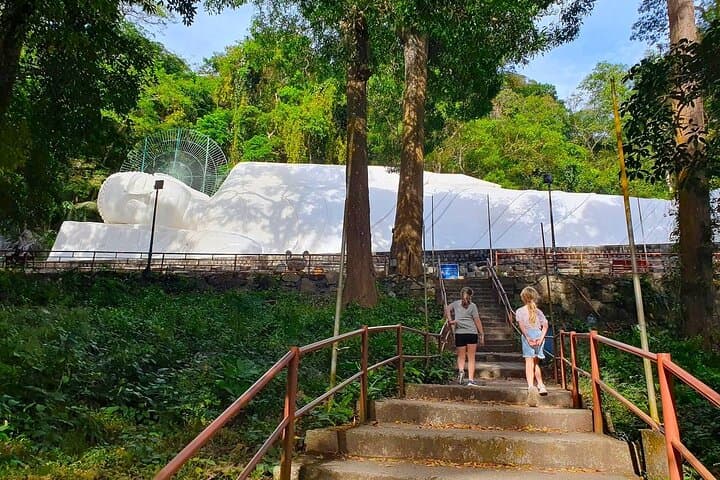 Ta Cu Mountain Day Trip from Phan Thiet: Cham Tower, Cable Car & Dragon Fruit Farm photo 6