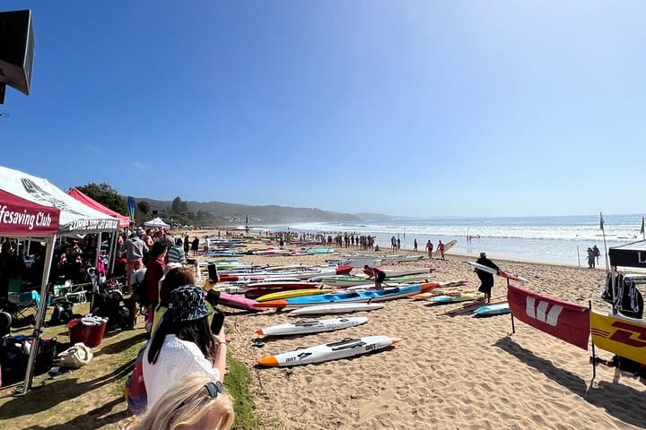Private Great Ocean Road Tour from Melbourne — Twelve Apostles, Koalas & Coastal Walks photo 4