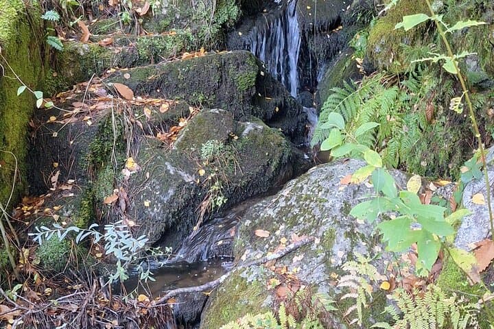 Hike Between Waterfalls in Serra da Estrela: Manteigas Walk to Poço do Inferno photo 5