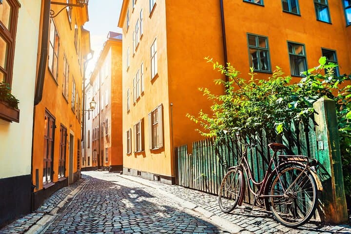 Deluxe Stockholm Shore Excursion with Vasa Museum and Gamla Stan photo 2