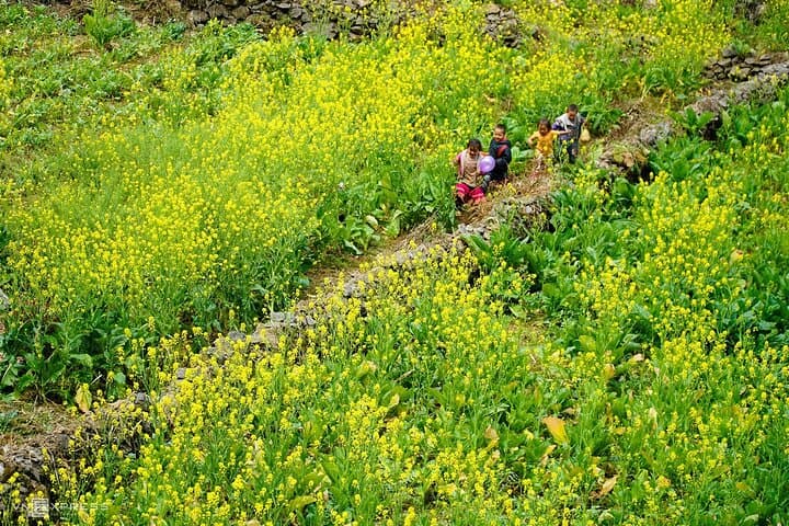 Ha Giang Loop 4-Day Adventure: Ma Pi Leng, Nho Que River & Dong Van Karst photo 5