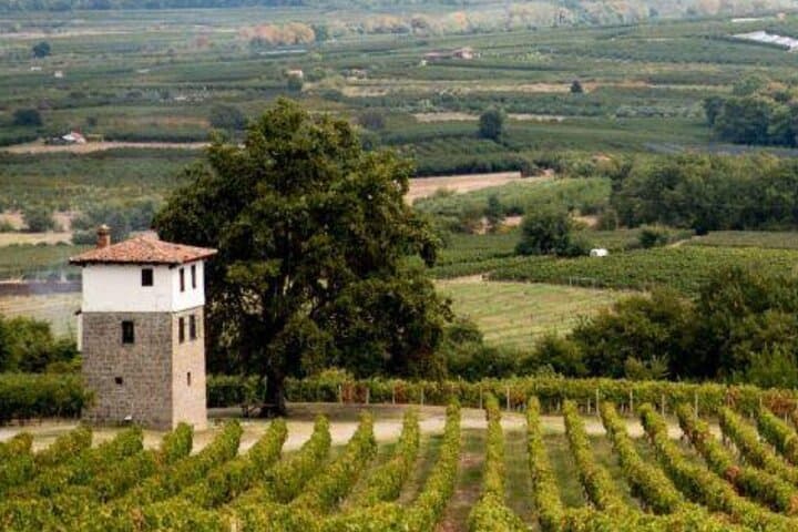 Vergina, Naousa & Edessa: Private Day Trip from Thessaloniki — Royal Tombs, Wine & Waterfalls photo 2
