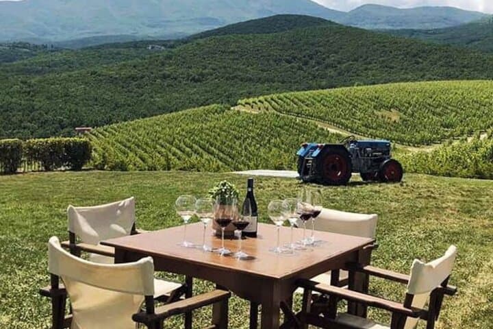 Vergina, Naousa & Edessa: Private Day Trip from Thessaloniki — Royal Tombs, Wine & Waterfalls