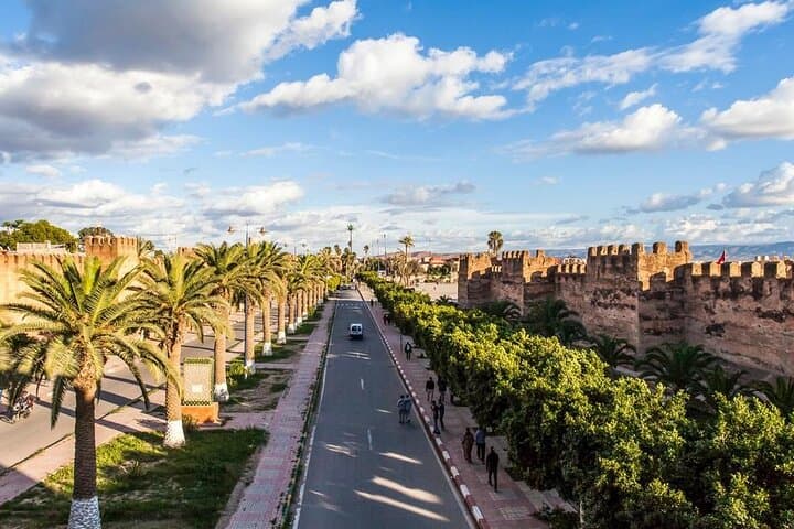 Taroudant & Tiout Day Trip from Agadir: Argan Goats, Kasbahs & Oasis