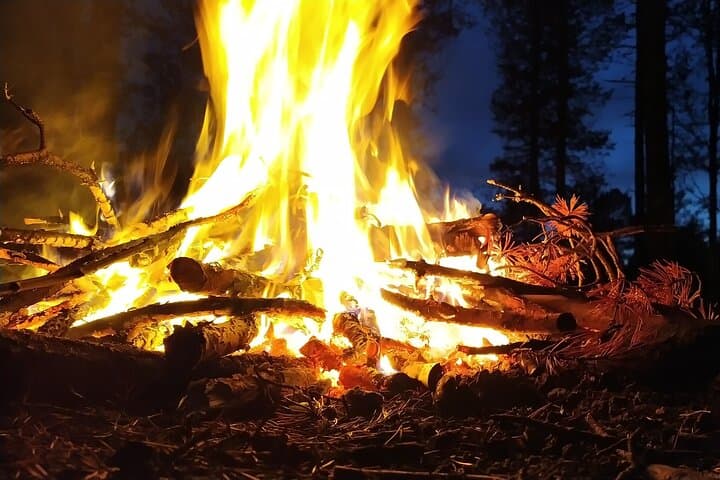 Ivalo Backcountry Sleighride — Moonlit Lake Northern Lights Experience photo 3