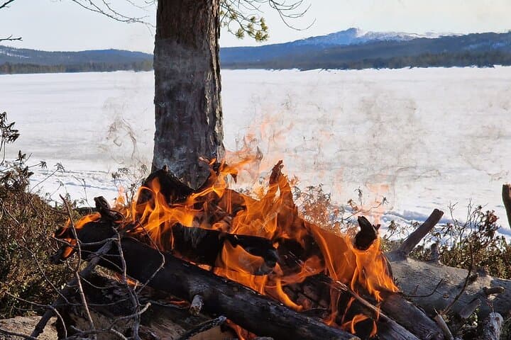 Ivalo Backcountry Sleighride — Moonlit Lake Northern Lights Experience photo 6
