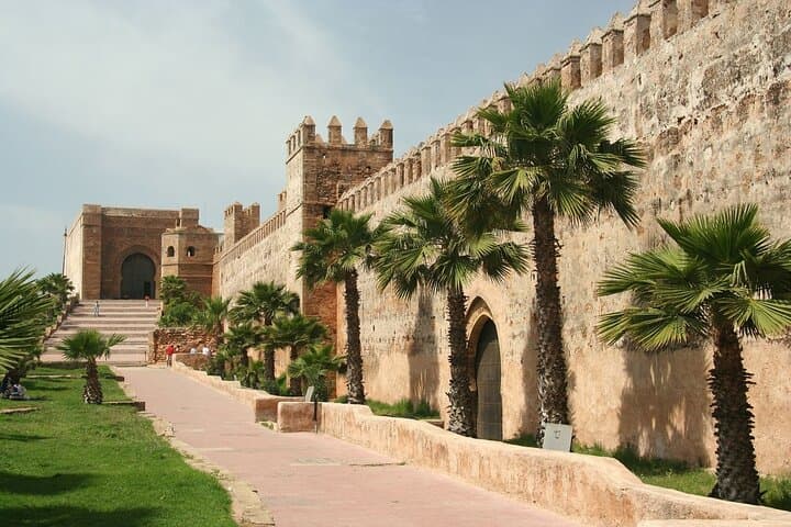 Taroudant & Tiout Day Trip from Agadir: Argan Goats, Kasbahs & Oasis photo 3