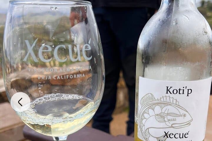 Valle de Guadalupe ATV Off-Road Adventure and Winery Visit photo 4