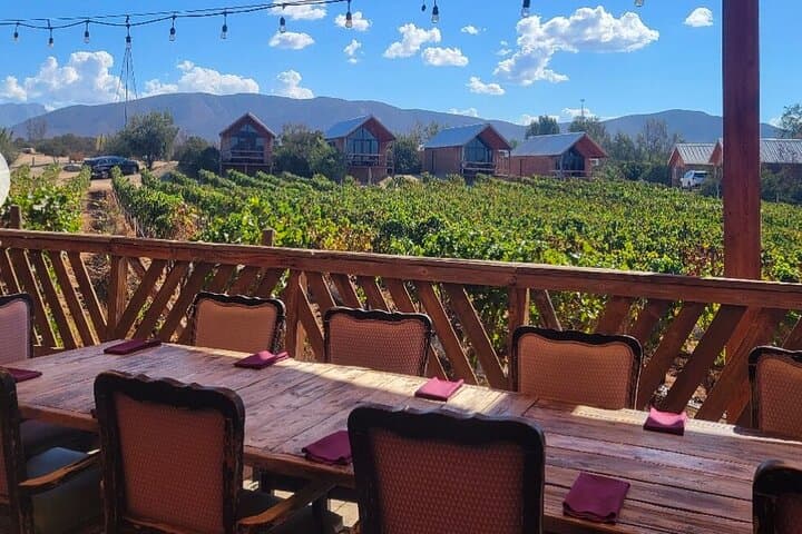 Valle de Guadalupe ATV Off-Road Adventure and Winery Visit photo 5