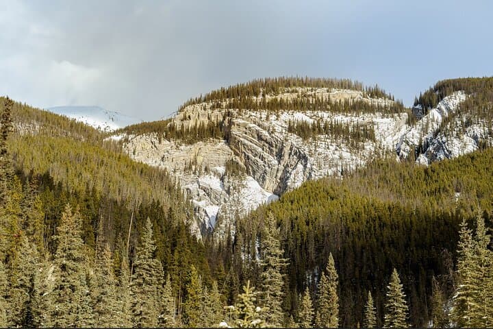 Maligne Valley and Pleckaitis Icewalk: Jasper's Hidden Canyon Icewalk Adventure photo 6