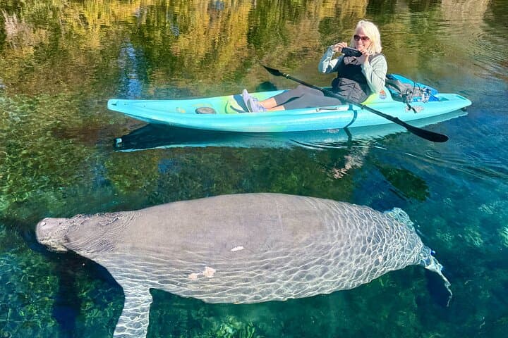 Silver Springs Premium Kayak Wildlife Experience — Guided Eco Kayaking in Florida