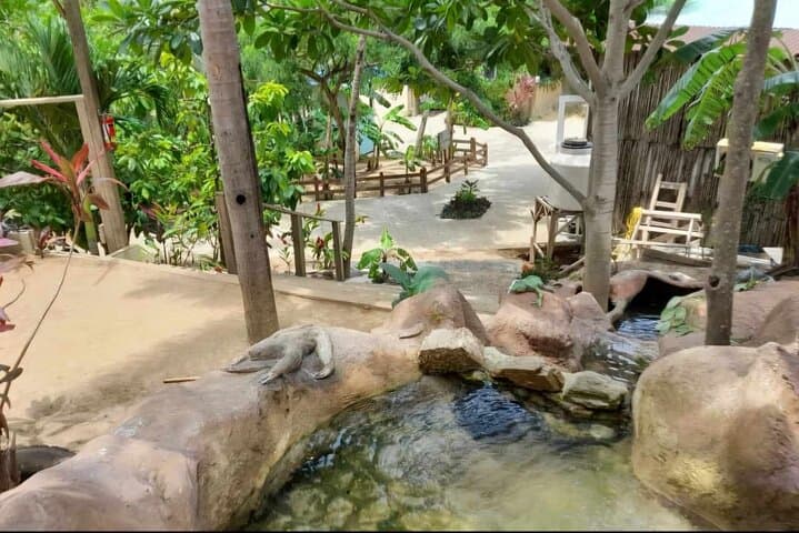 Roatán Wild-Life Eco-Park: Monkey & Sloth Sanctuary with Chocolate & Rum Tasting photo 5