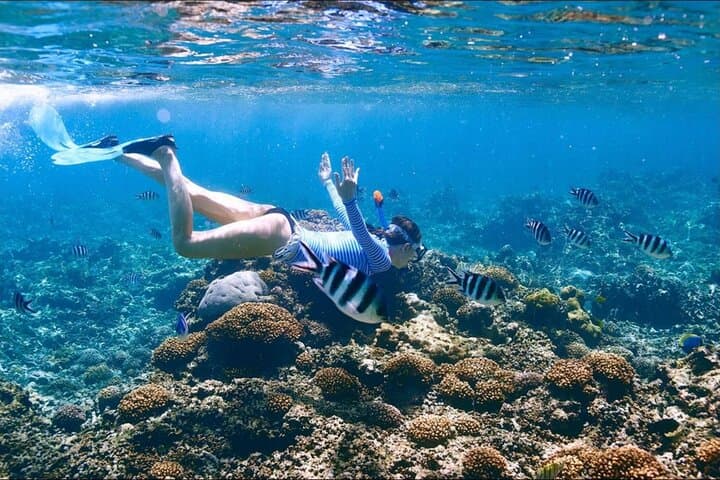 Full-Day Racha Yai Private Scuba Diving Course: Discover Andaman Reefs for Beginners