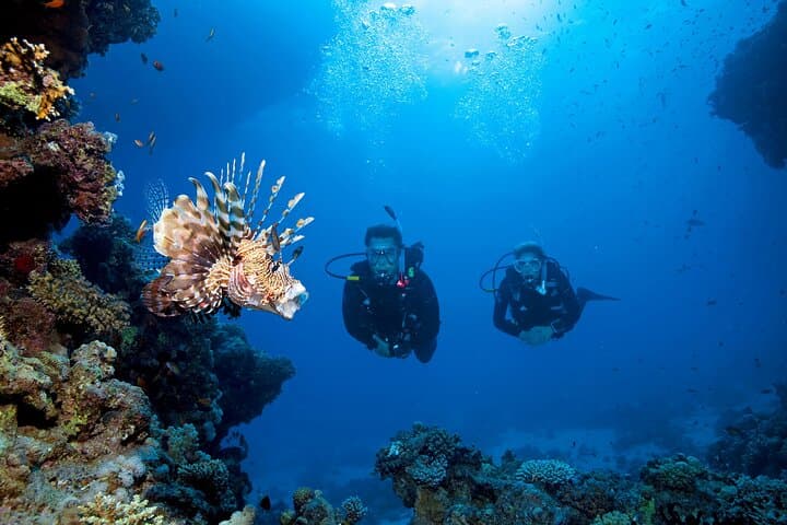 Full-Day Racha Yai Private Scuba Diving Course: Discover Andaman Reefs for Beginners photo 2