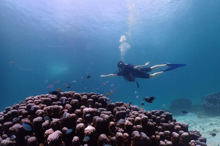Full-Day Racha Yai Private Scuba Diving Course: Discover Andaman Reefs for Beginners photo 6