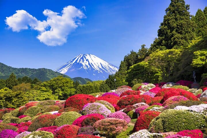 Private Tokyo to Hakone & Fuji Day Tour — Lake Ashi, Owakudani, Gotemba Views