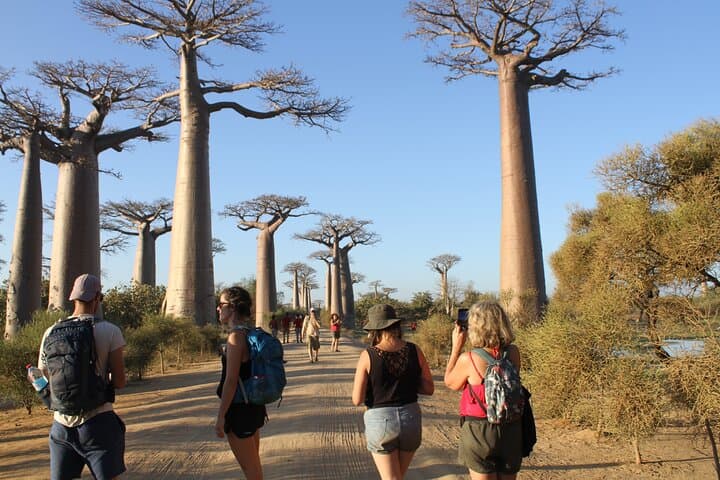 Tsiribihina River Barge & Tsingy de Bemaraha Expedition — 9-Day Madagascar Wilderness Cruise photo 6
