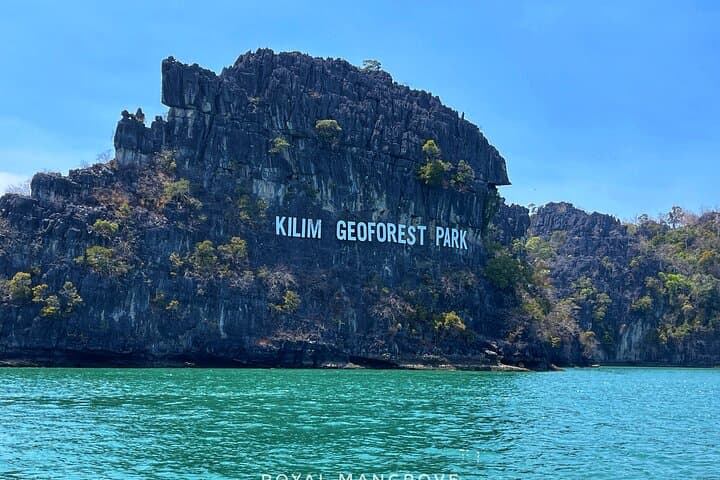 Langkawi Kilim Mangrove Boat Safari & Dangli Island Snorkel photo 4
