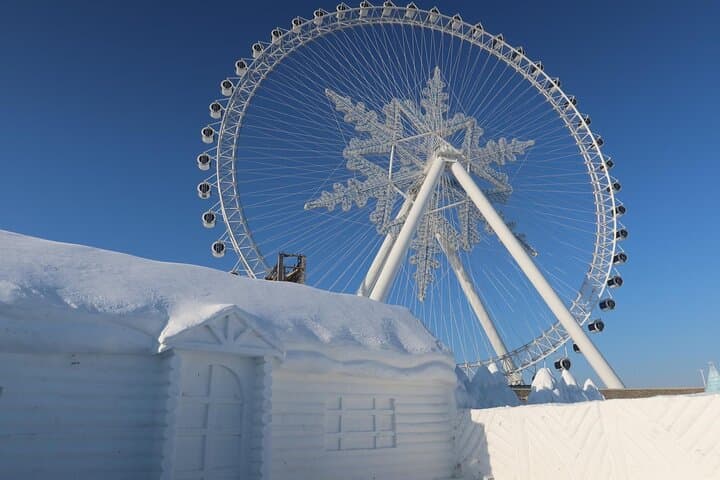 Harbin Ice & Snow: Full-Day Private Festival Experience photo 3