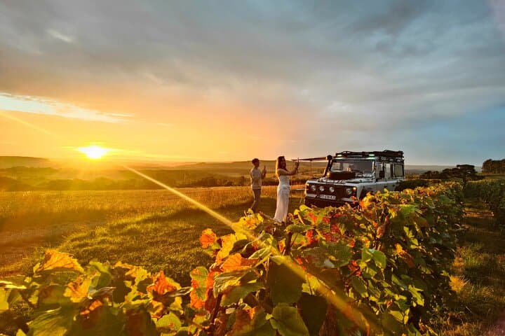 Sunset Champagne Tasting in the Vineyards of Montagne de Reims photo 1